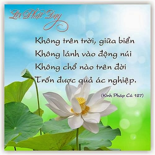 Kinh Pháp Cú 127 Kinh Pháp Cú 127