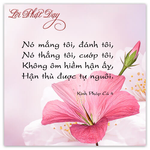 Kinh Pháp Cú 4 Kinh Pháp Cú 4