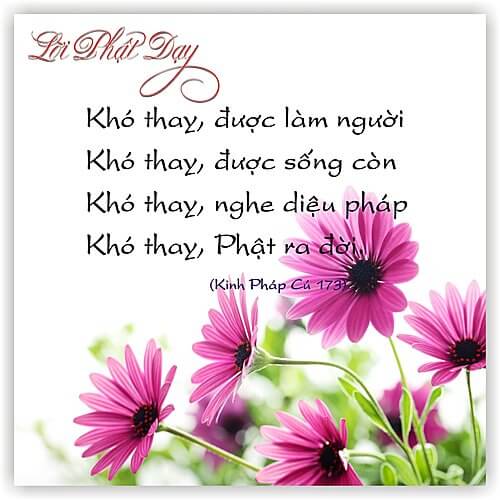 Kinh Pháp Cú 173 Kinh Pháp Cú 173