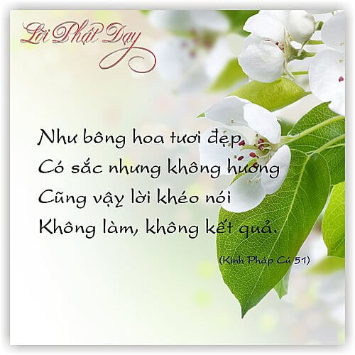 Kinh Pháp Cú 51 Kinh Pháp Cú 51