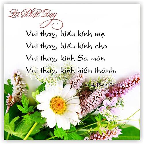 Kinh Pháp Cú 332 Kinh Pháp Cú 332