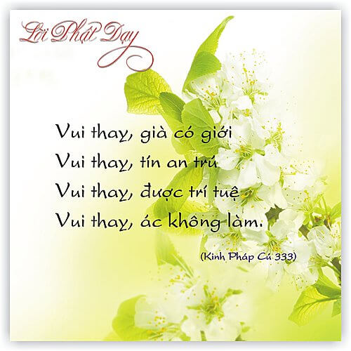Kinh Pháp Cú 333 Kinh Pháp Cú 333
