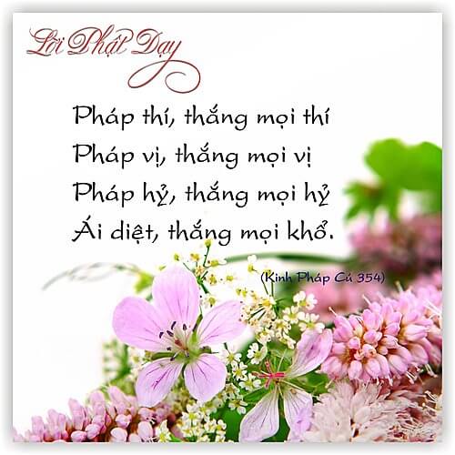 Kinh Pháp Cú 354 Kinh Pháp Cú 354