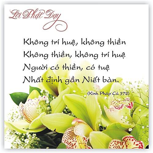 Kinh Pháp Cú 372 Kinh Pháp Cú 372