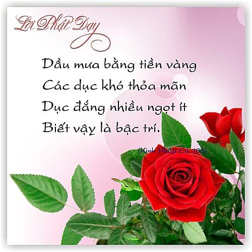 Kinh Pháp Cú 186 Kinh Pháp Cú 186