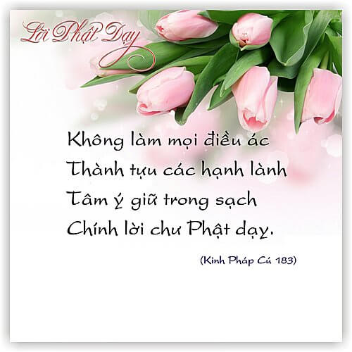Kinh Pháp Cú 183 Kinh Pháp Cú 183
