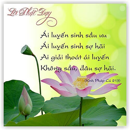 Kinh Pháp Cú 213 Kinh Pháp Cú 213