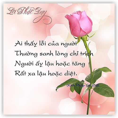 Kinh Pháp Cú 253 Kinh Pháp Cú 253