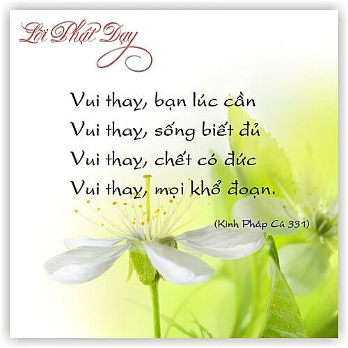 Kinh Pháp Cú 331 Kinh Pháp Cú 331
